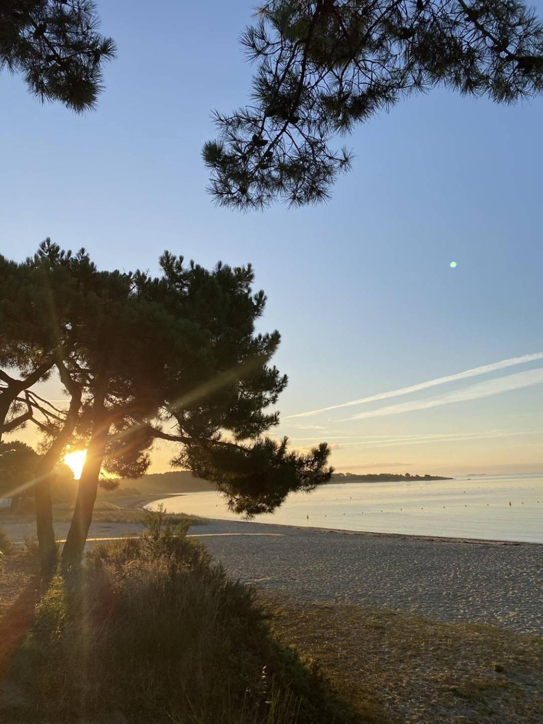Confortable Studio, Wifi, Parking, Proche Plage カルナック エクステリア 写真